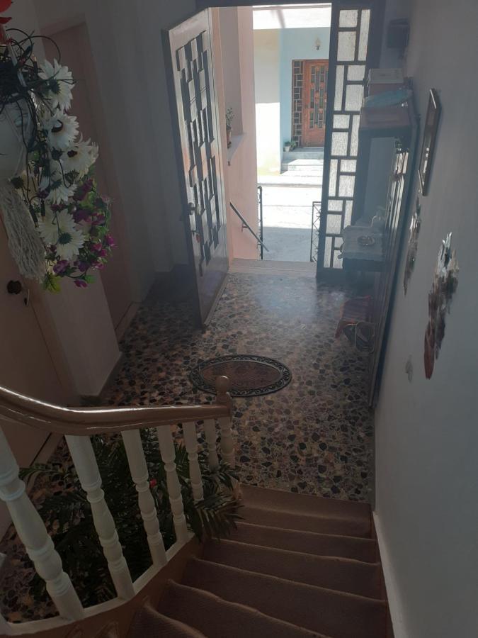 Thalia'S Garden Hotel Mytilene Ngoại thất bức ảnh